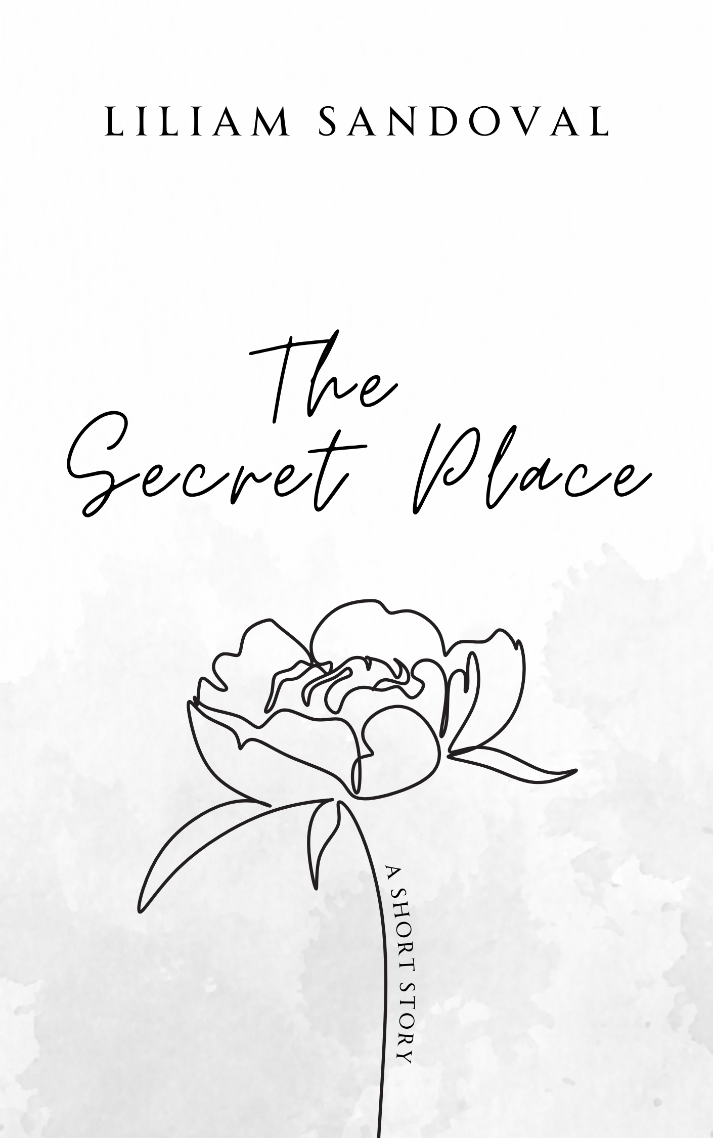 The Secret Place book cover